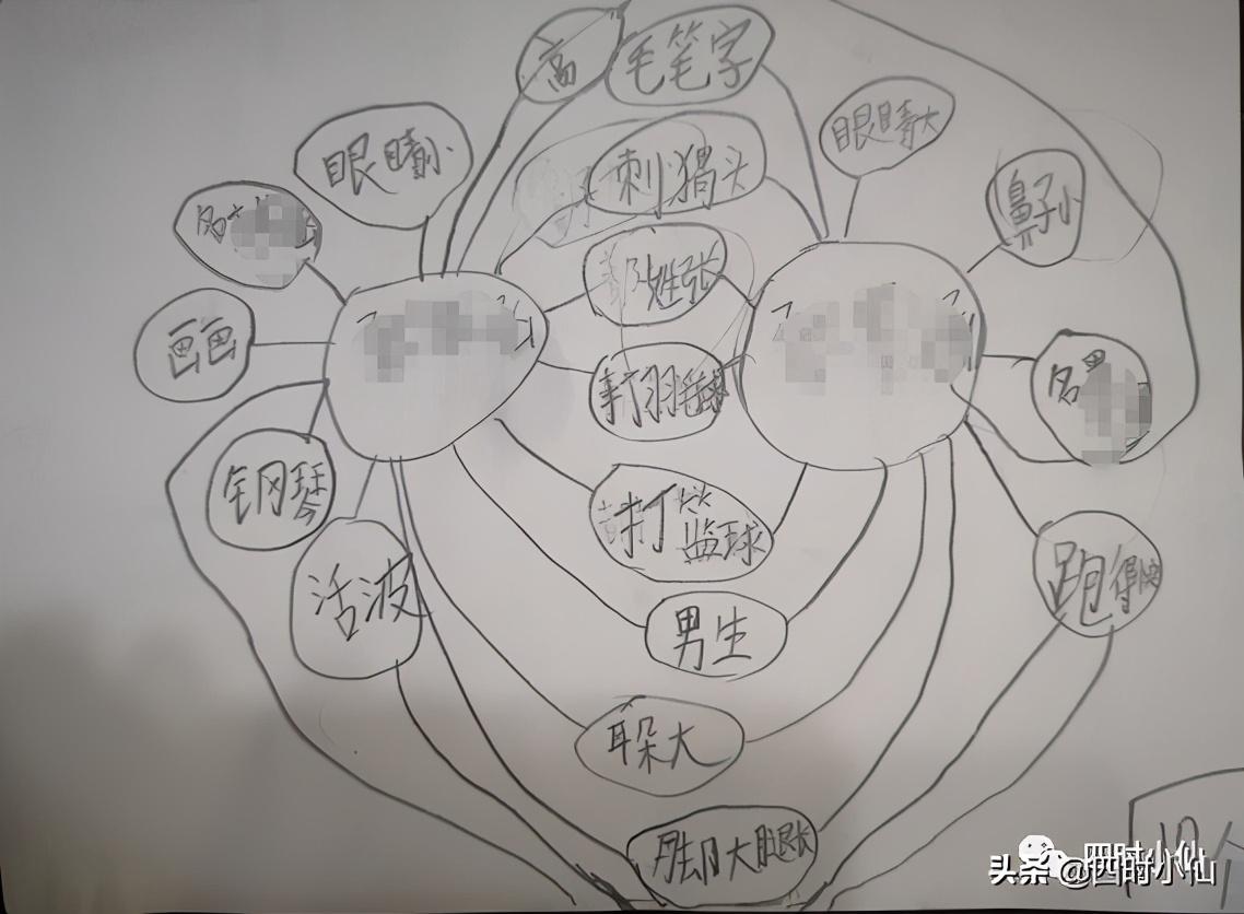 辅助写作软件：哪些免费哪些收费，推荐与实用选择指南