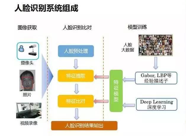 全面解析人脸识别技术：检测原理、应用领域及潜在风险评估报告