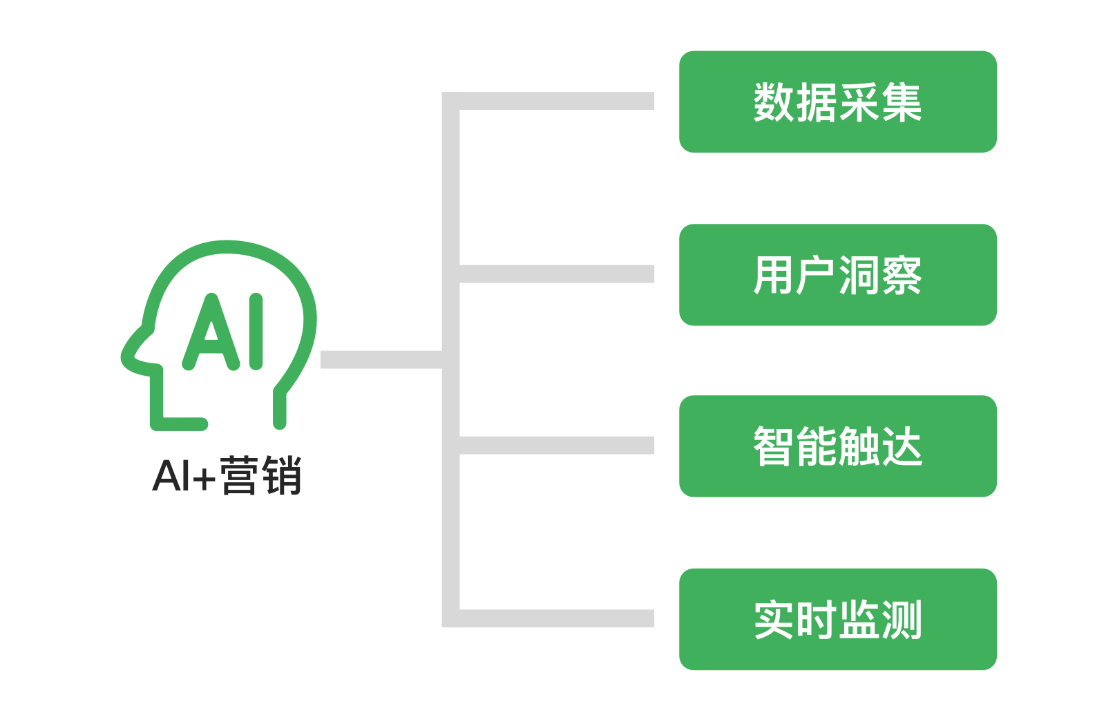 AI智能营销推广系统骗局揭秘与案例分析