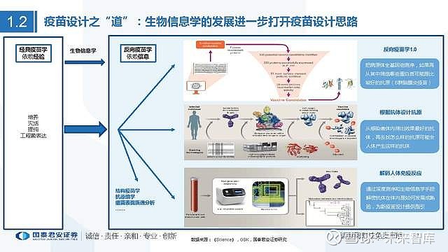 全面解析疫苗创新设计：从原理到应用的全方位解读