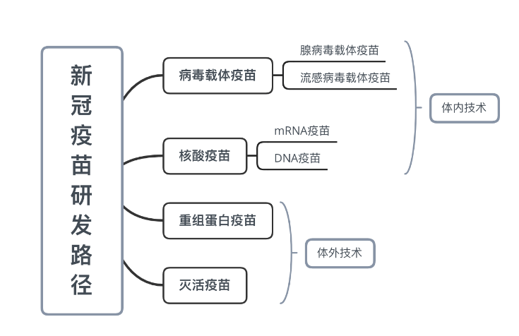 全面解析疫苗创新设计：从原理到应用的全方位解读