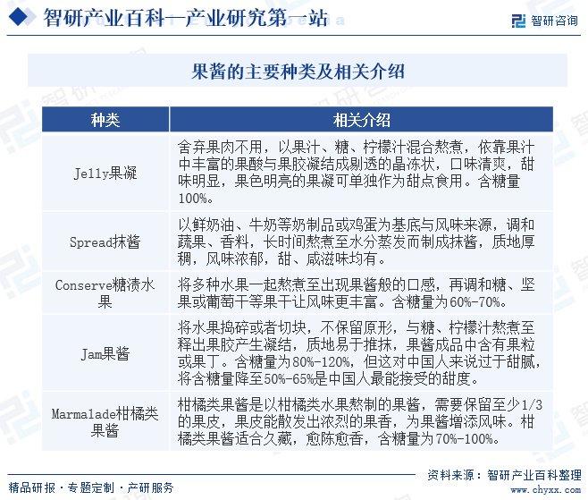 深入了解松鼠AI：当前发展状况与未来前景分析