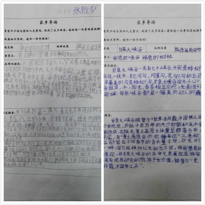 制作实践报告表的详细步骤与技巧