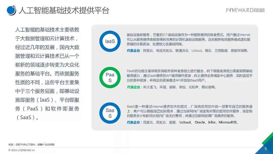 人工智能技术安全漏洞与风险深度剖析报告模板