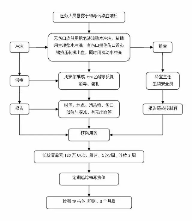 全面解析：AI绘画创作流程、技巧与应用指南