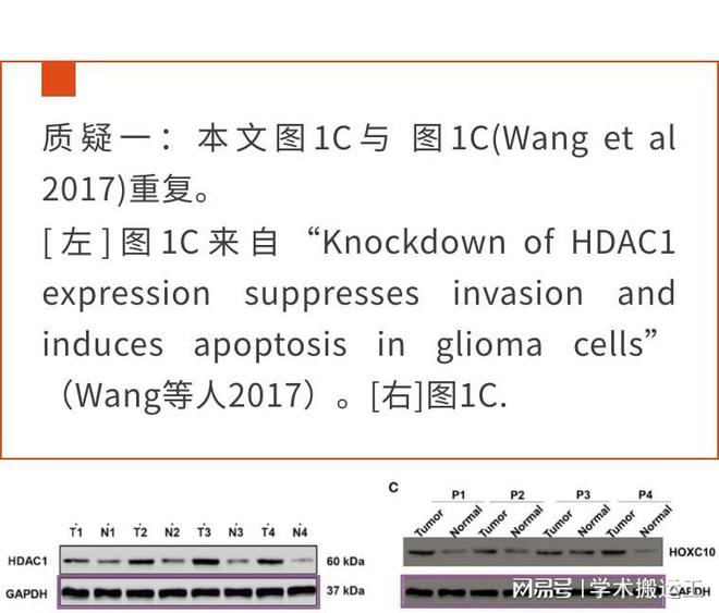 夸克al写作：作文生成器在哪里，写作文是否会重复或撞文？