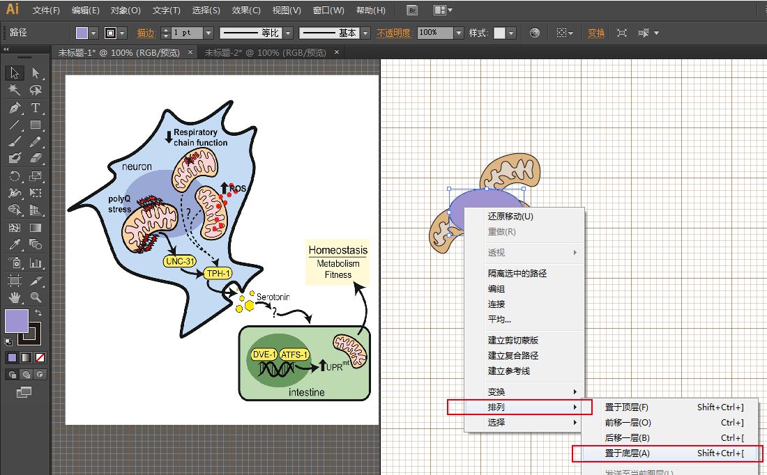 AI绘画创作全攻略：从入门到精通，打造个性化教程指南