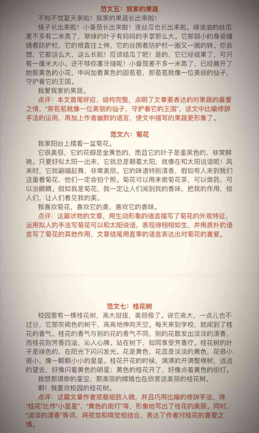 全面攻略：掌握高效驯服作文的技巧与策略