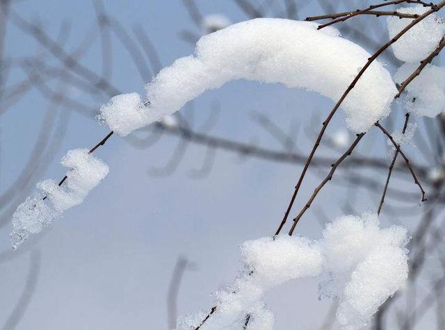 雪舞絮飞：风雪飘絮诗意画卷