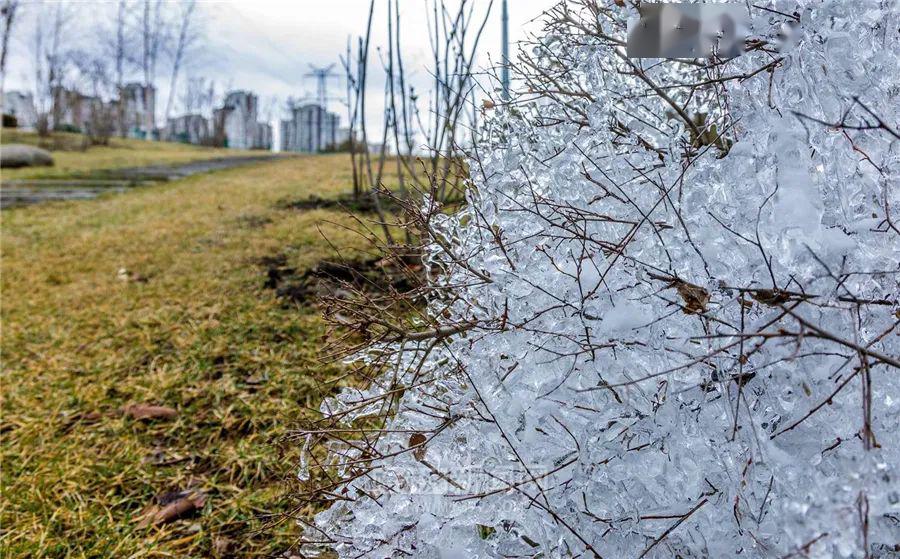 风雪交加：全方位解析极端天气下的生活与挑战