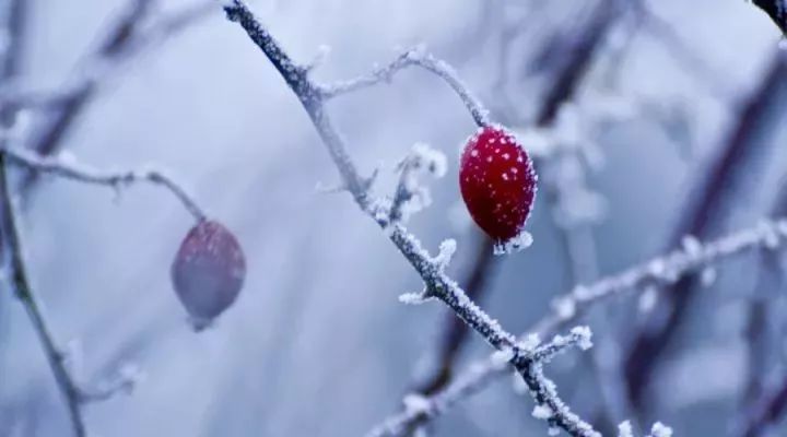 ai创作风雪飘絮