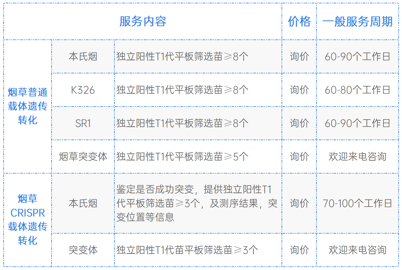 改写匠服务费用说明