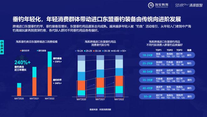 2020年跨境电商行业洞察：绡类商品调研报告总结与趋势分析