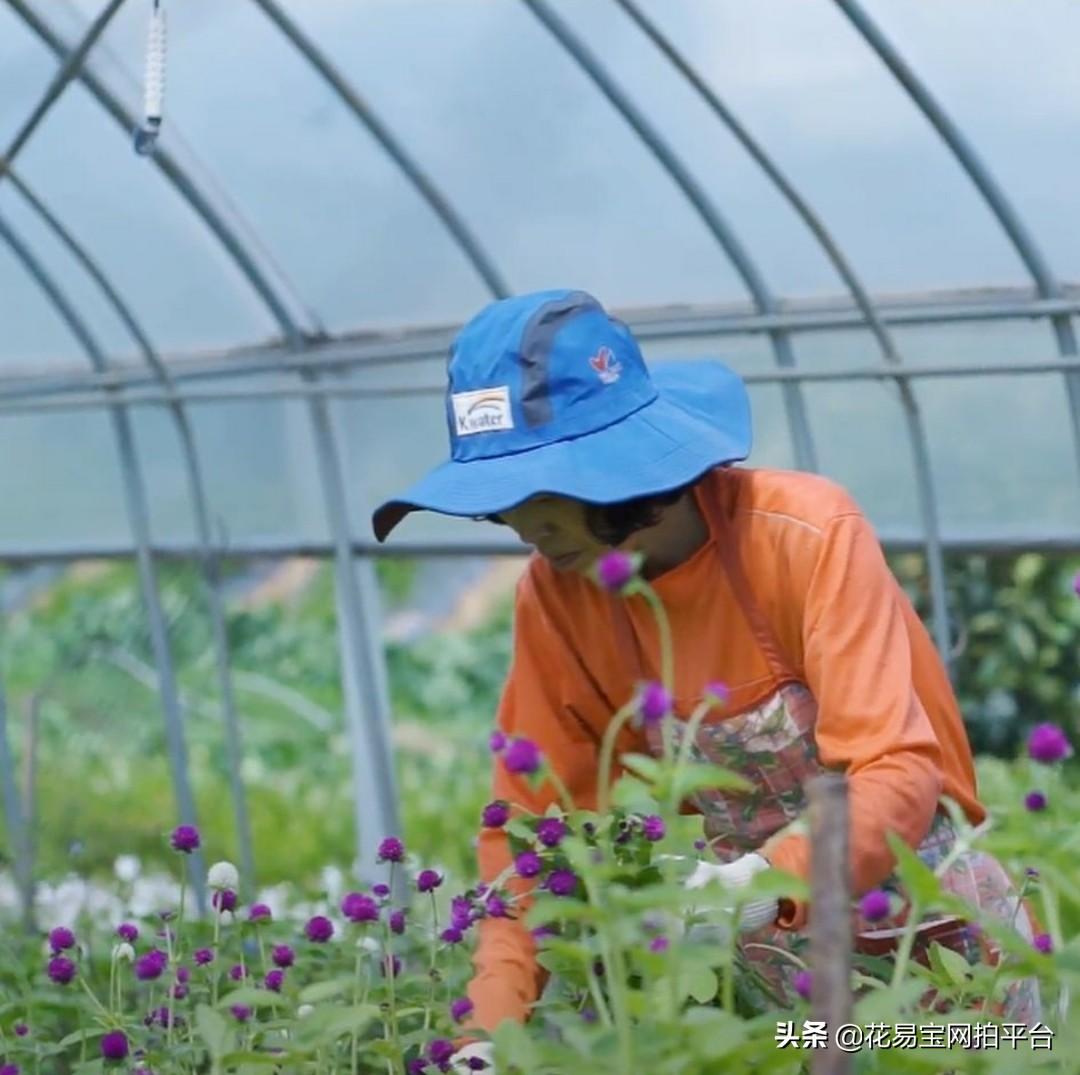 基于供应链管理视角的企业采购策略优化与成本控制论文