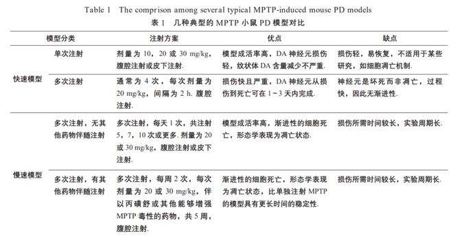 动物ai模拟实验报告怎么写——初中版动物模型实验报告撰写指南