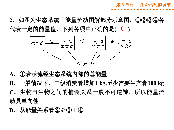 动物AI模拟实验报告：行为模式与生态影响分析