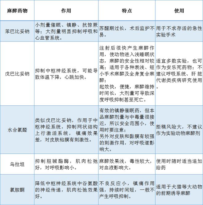 全面解析：动物实验建模的详细步骤与注意事项