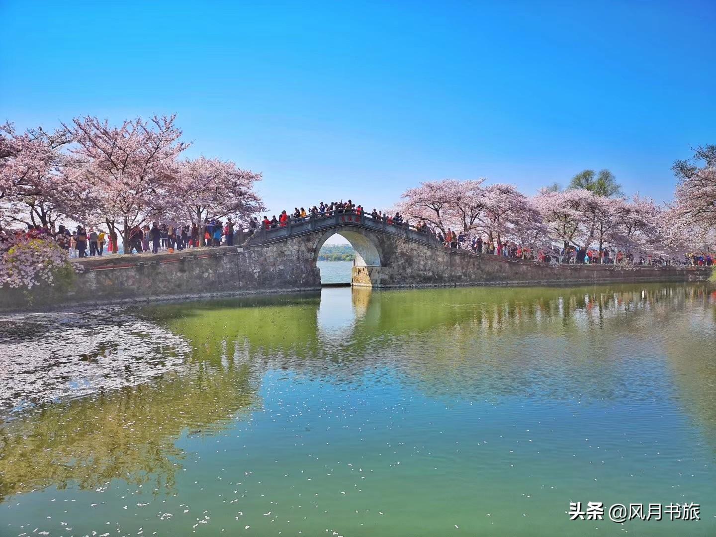 探索AI绘图技术：如何利用人工智能绘制