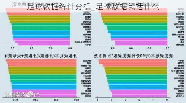 足球大数据分析系统：软件、工具与制作方法综述