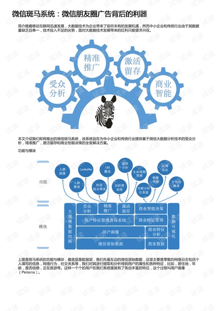 运用AI智能技术，深度解析斑马AI推广广告文案的创意思路与实践效果