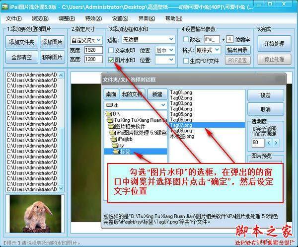 ai批量改尺寸脚本