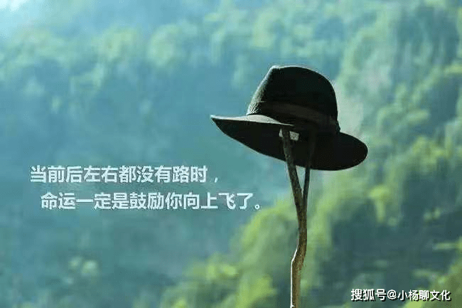 选择一个人的句子说说心情：简短语句与心声