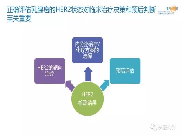 乳腺癌病理报告中AI：AR(90强), HER2(1 ), CERB-2(1 )含义解读