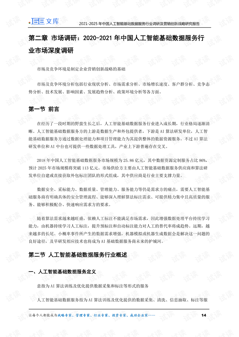 AI驱动的大数据智能营销策略研究报告