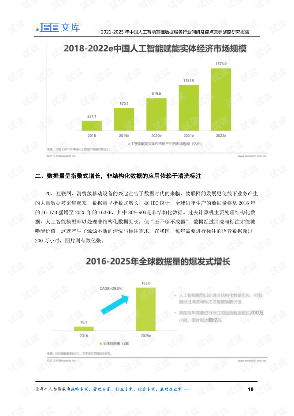 AI驱动的大数据智能营销策略研究报告