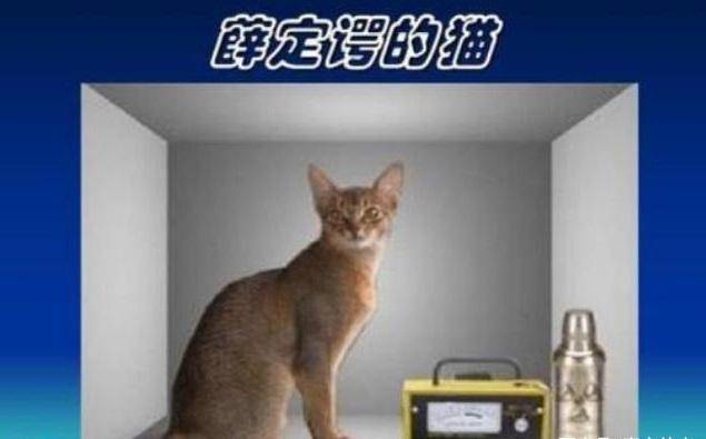 秘塔猫ai量子写作-秘塔写作猫安全吗