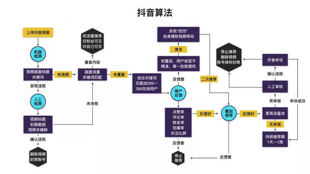 抖音AI技术全面解析：从创作到应用的全流程指南