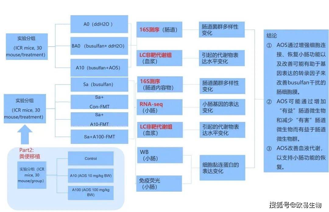 写医学论文软件：全面推荐与选择指南，涵盖各大优秀工具特点与使用技巧