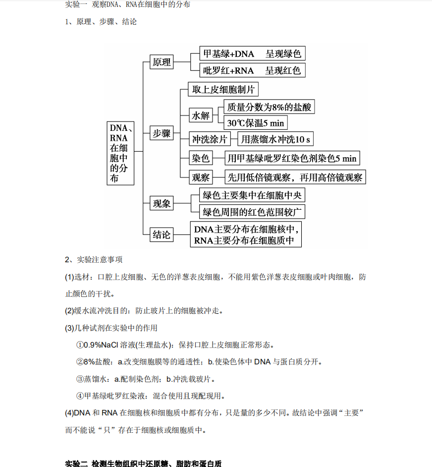 写实验报告用什么软件：好、较好、的选择与推荐