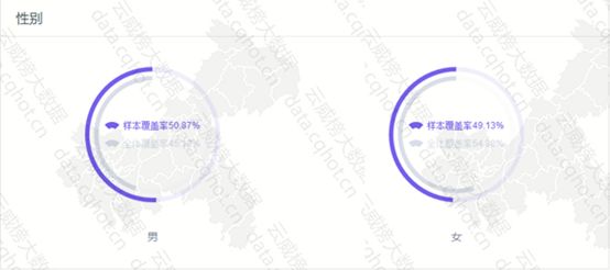 AI绘画创新案例深度解析报告