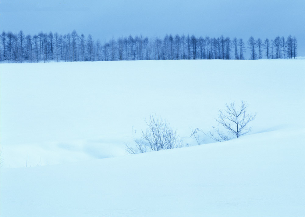 AI创作教程：打造唯美的雪景风景