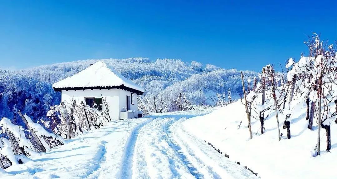 AI创作教程：打造唯美的雪景风景