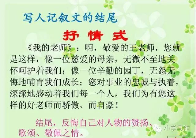 有关松鼠的文案：简短句子汇编与写作技巧