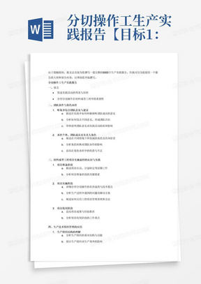 ai工程管理实践总结报告