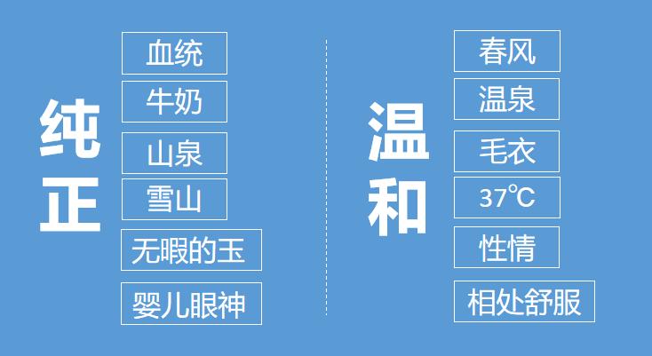 全能型AI文案生成视频软件，快速实现创意视觉化解决方案