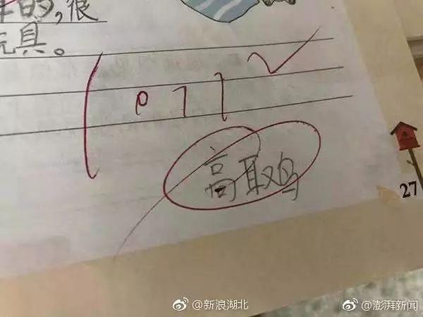 高效作业助手：一站式作业管理及辅助软件，助力学习无忧