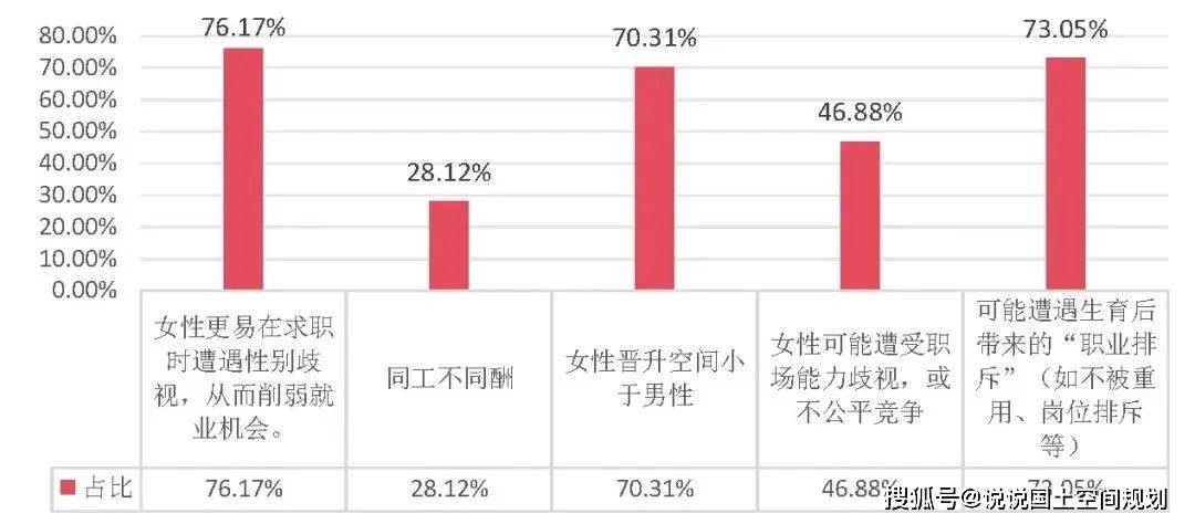 女性职业发展现状：调查与论文综述——现状、问题及发展历程