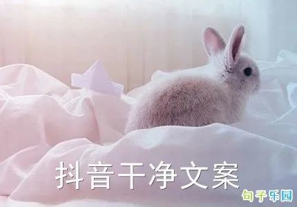 抖音文案短句干净治愈爱情：温柔唯美的爱情短句