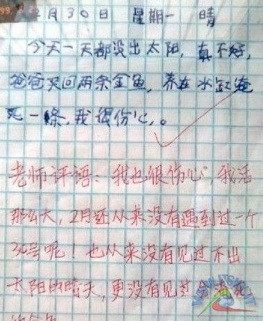 盘点幽默搞笑的写作趣事：揭秘笔下笑料无穷的段子与技巧