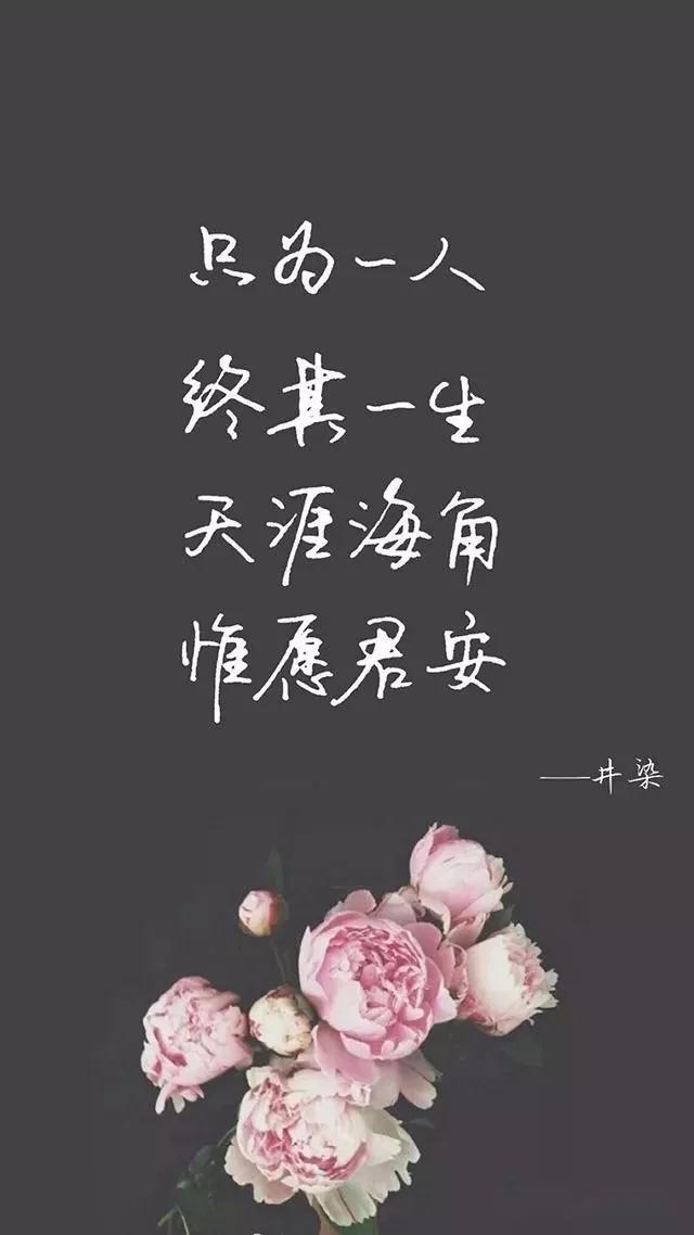 壁纸文案爱情文字唯美句子