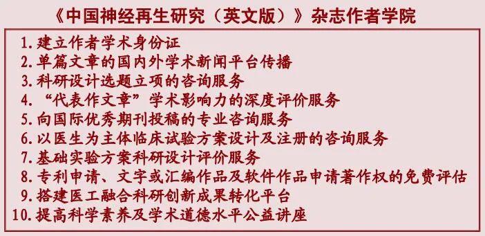 全面解析神经网络：从基础概念到前沿应用的课题研究