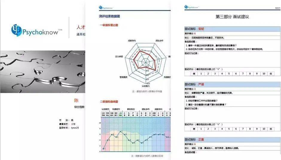 全方位指南：选择最适合您的报告制作软件，高效解决问题与满足需求