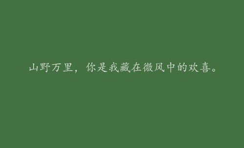 精选情侣文案短句：清新治愈，情感升温，全面满足情侣间的甜蜜互动需求