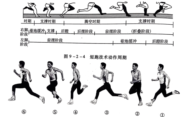 田径运动技术：动作要领、原理名词、训练方法及教学策略概述