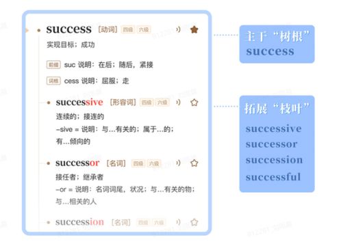 掌握欧陆词典高效用法：提升语言学习效率