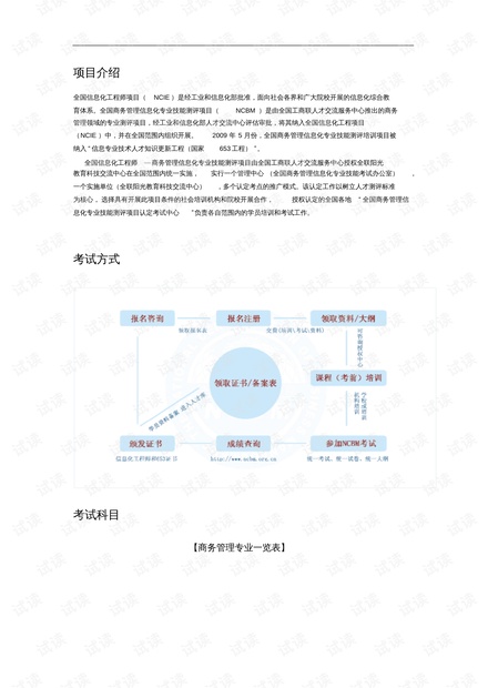 AI项目加盟与计划书详解：AI项目分类、实施步骤及概念说明